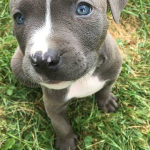 Meet your Posher, Lynnette